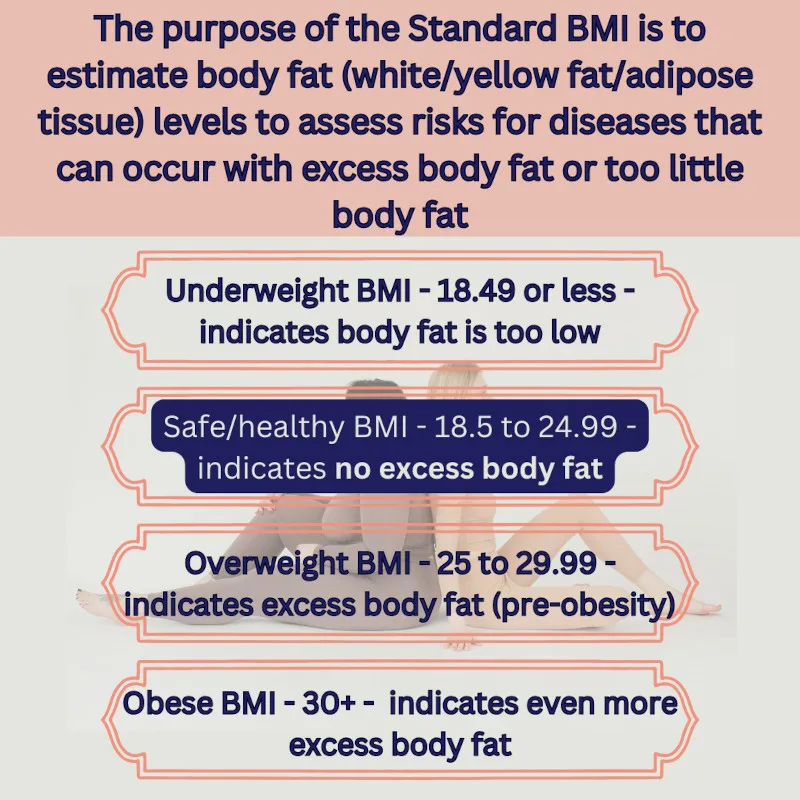Standard BMI Scale - What Is Skinny Fat?