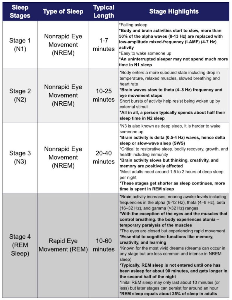 Four Sleep Stages - N1, N2, N3, REM