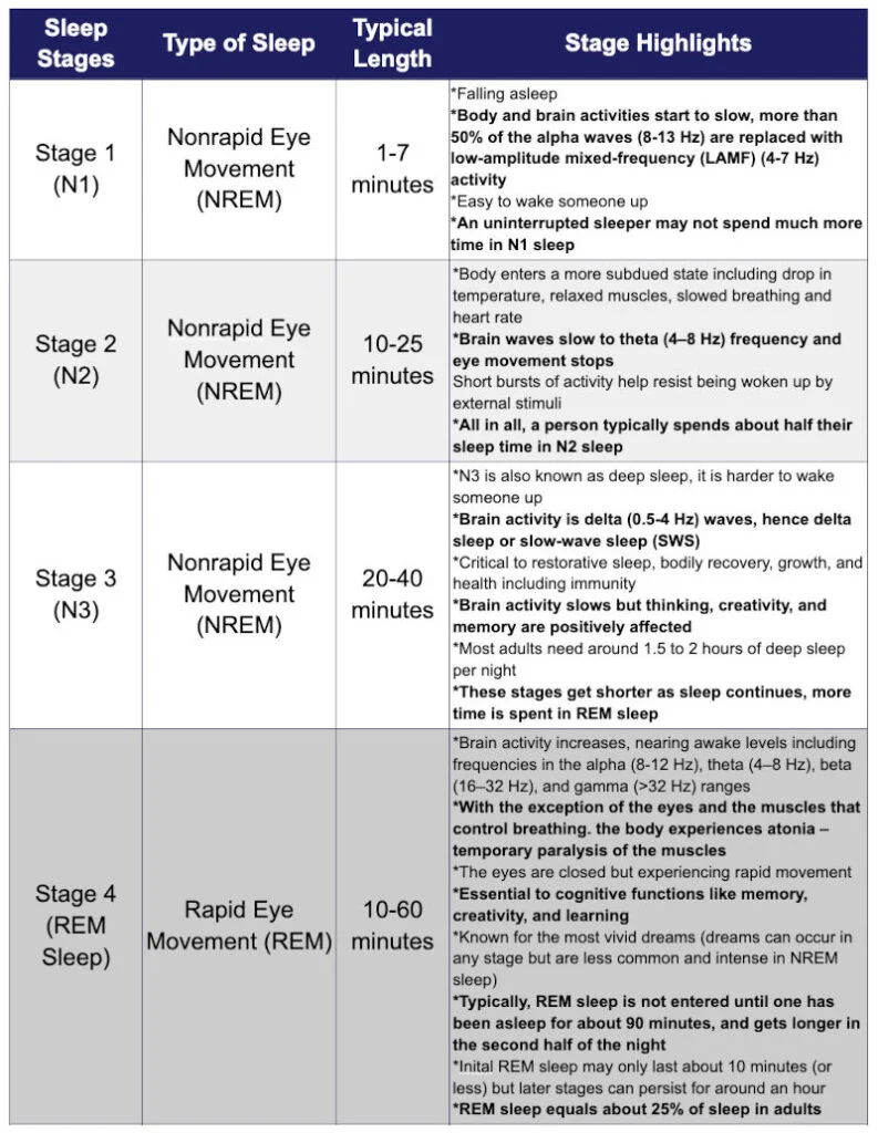 Four Sleep Stages - N1, N2, N3, REM