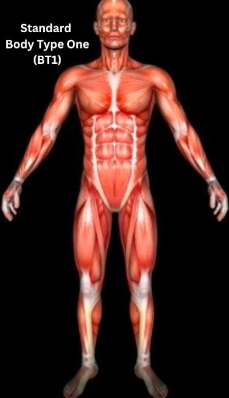 Standard Body Type One (BT1) - How the Skinny Fat Crisis Affects The Global Obesity Epidemic
