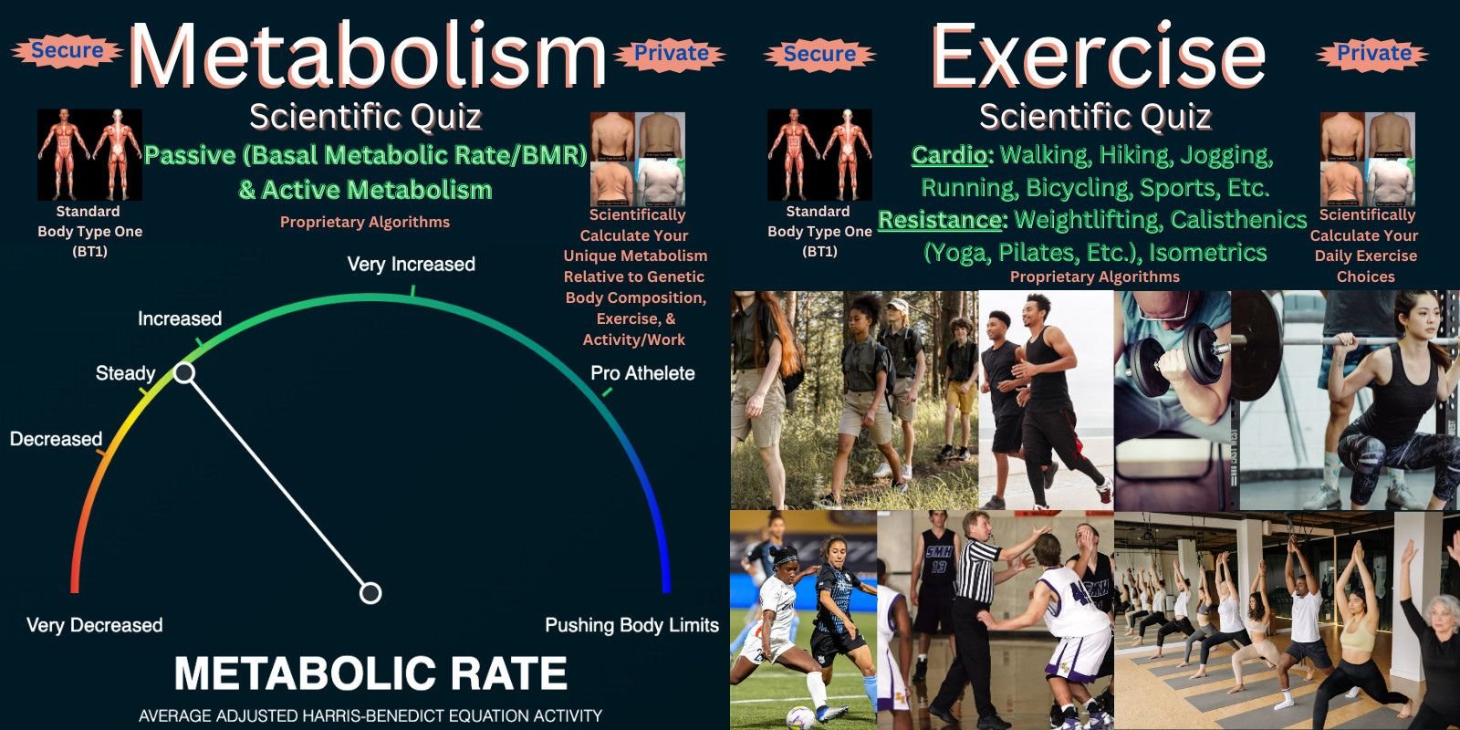 Best Skinny Fat Cardio Exercise - Scientific Metabolism Quiz Health Score and Scientific Exercise Quiz Health Score