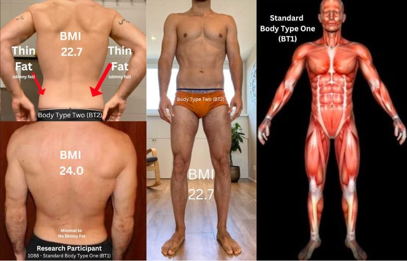 Body Type Two (BT2) Thin Fat Skinny Fat Compared to a Standard Body Type One (BT1) with Minimal to No Skinny Fat