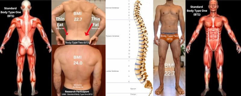 Body Type Two with Thin Fat Skinny Fat - Skinny Fat Body Type Science