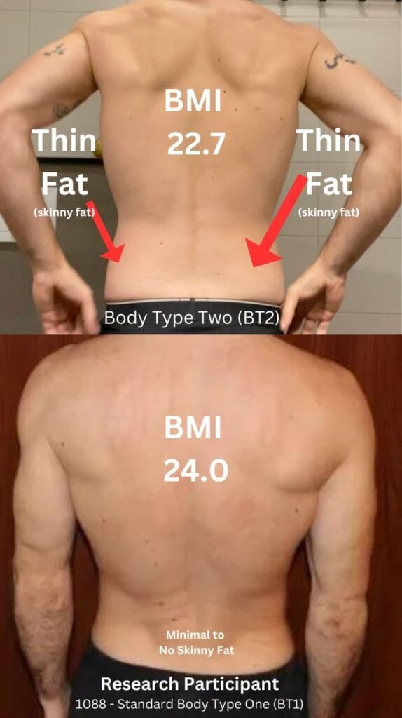 Body Type Two Thin Fat Skinny Fat compared to Standard Body Type One (BT1)
