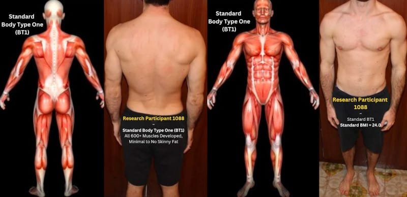 Skinny Fat Body Type Science - Research Participant 1088, Standard Body Type One (BT1)