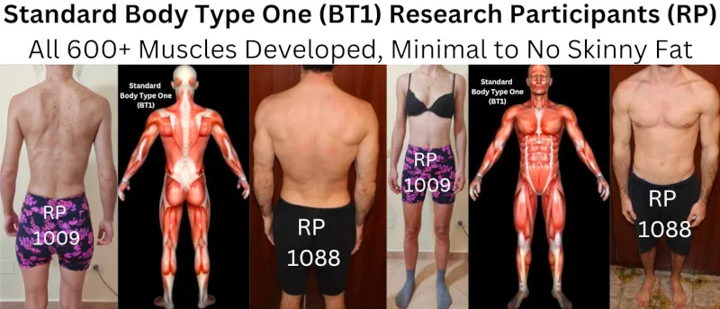 Skinny Fat Body Type Science