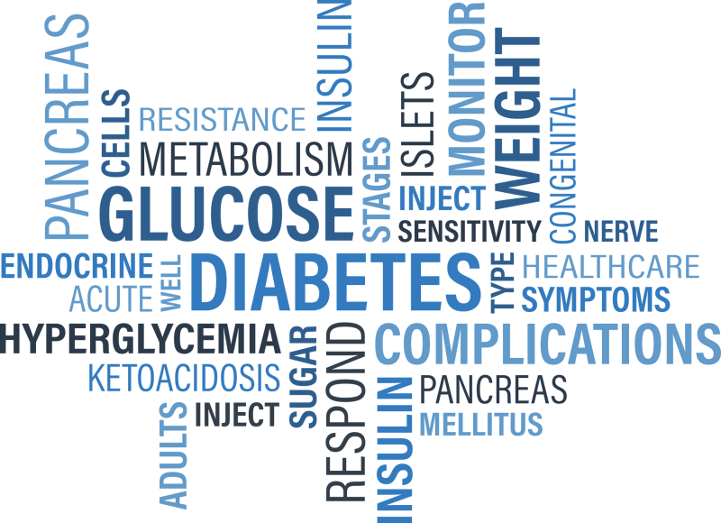 Glucose Metabolism & Muscle Mass