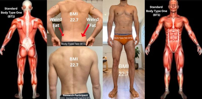 Why am I skinny fat? 