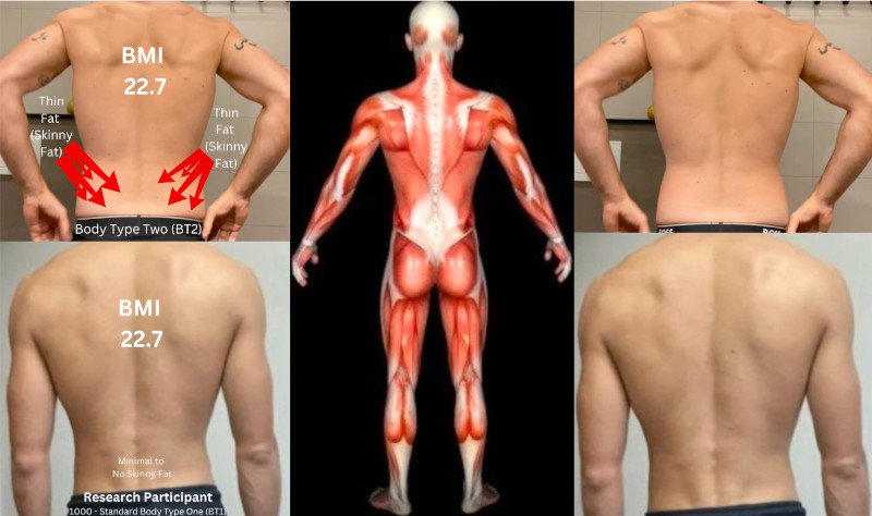 Pro Trainer (BT2) Compared to BT1 - Best Skinny Fat Diet Male