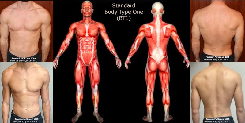 Baseline Standard Body Type One - Scientific Skinny Fat MRI Study