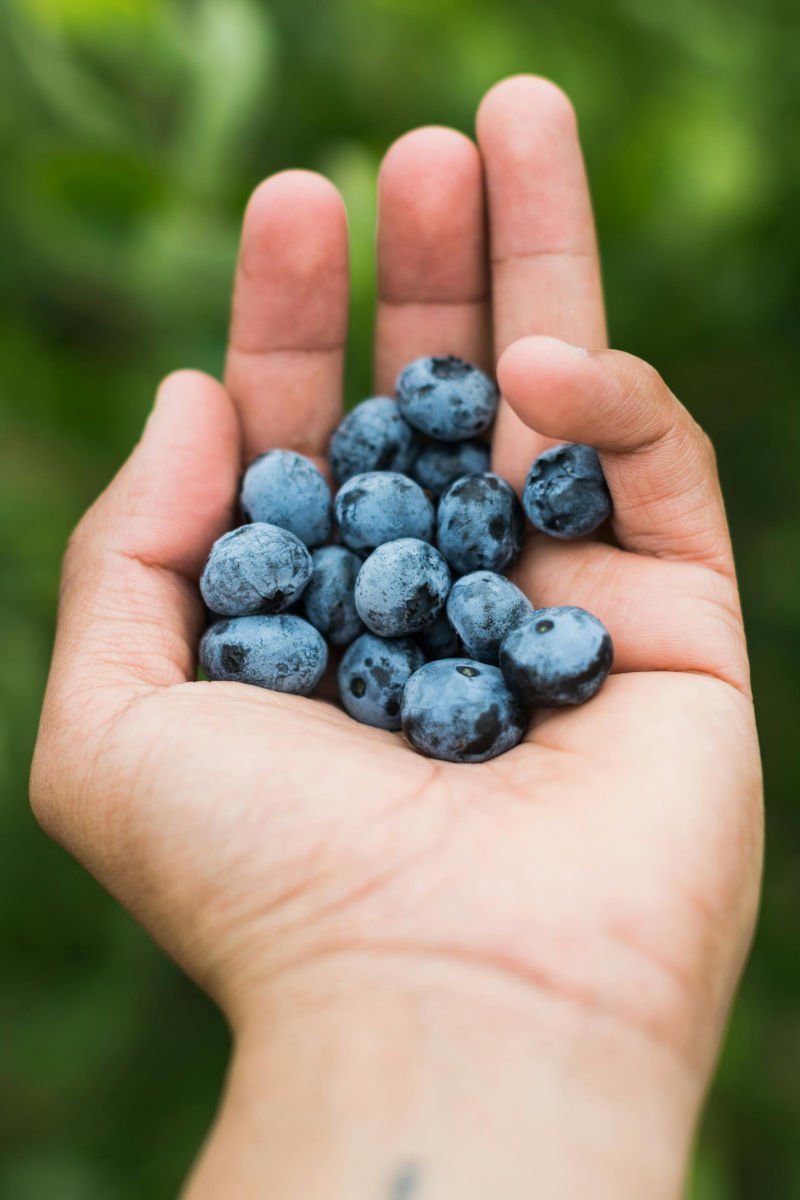 Handful of Blueberries - Best Skinny Fat Diet Woman