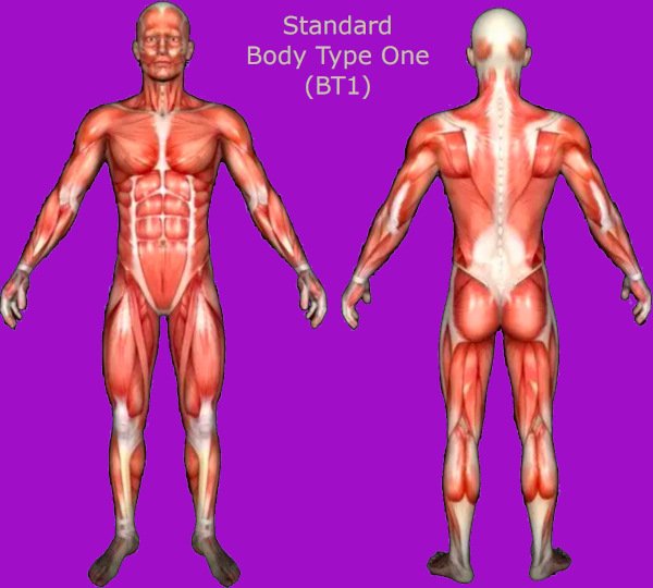 Skinny Fat Female with Low BMI - Standard Body Type One (BT1) with All 600+ Muscles Developed. 