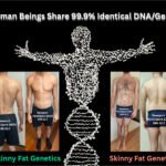 Skinny Fat Genetics, Race DNA, and Muscle Tissue