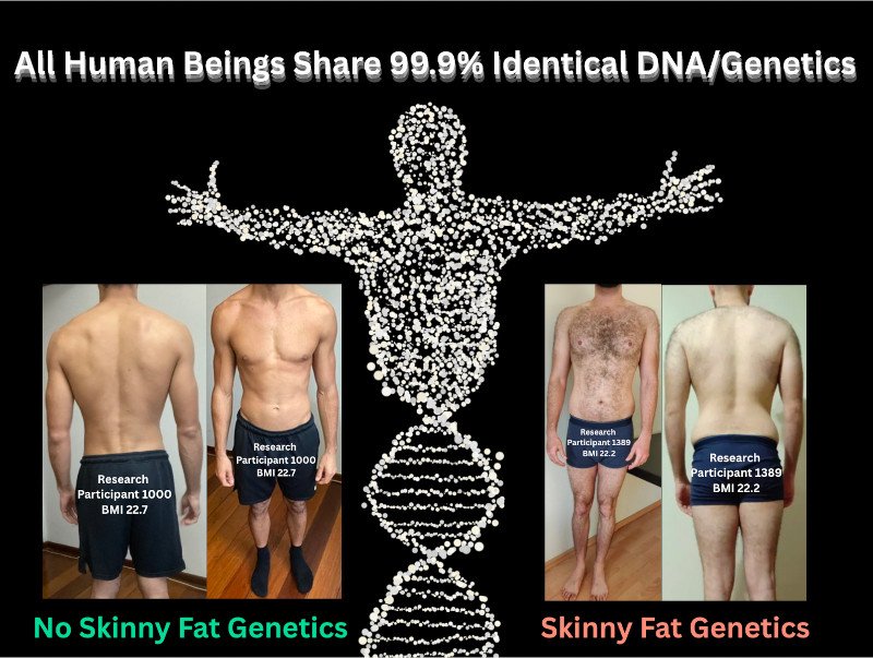 Skinny Fat Genetics, Race DNA, and Muscle Tissue Skinny Fat Genetics, Race DNA, and Muscle Tissue