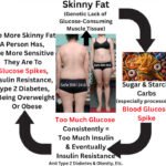 Skinny Fat & Insulin Resistance