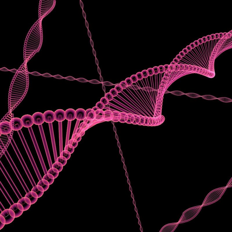 Skinny Fat Genetics - Thin Fat, Cellulite