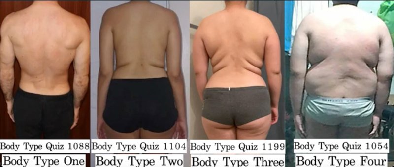 The Four Body Types - Skinny Fat Science