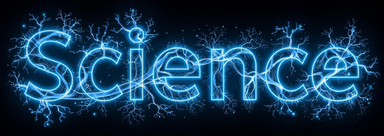 The Science of Skinny Fat