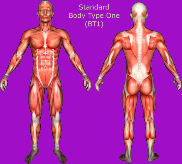 Standard Body Type One (BT1) with All 600+ Muscle Developed