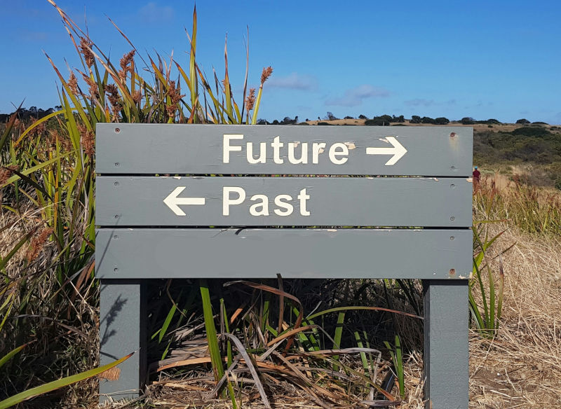 Skinny Fat – The Future