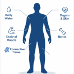 Lean Body Mass (LBM) and Skinny Fat Lean Body Mass (LBM) and Skinny Fat
