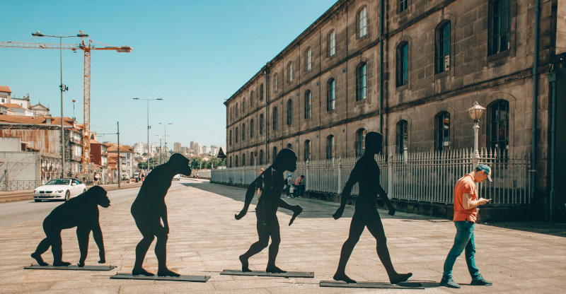 The Evolving Science of Skinny Fat