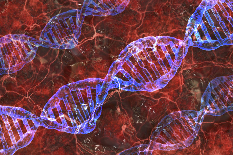 Genetic Muscle Formation & Skinny Fat