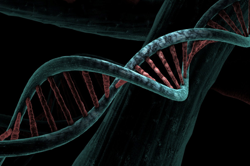 What Is the Biological Starting Point of Each Individual? How Much Muscle Are You Born With, Or Without (Skinny Fat)?